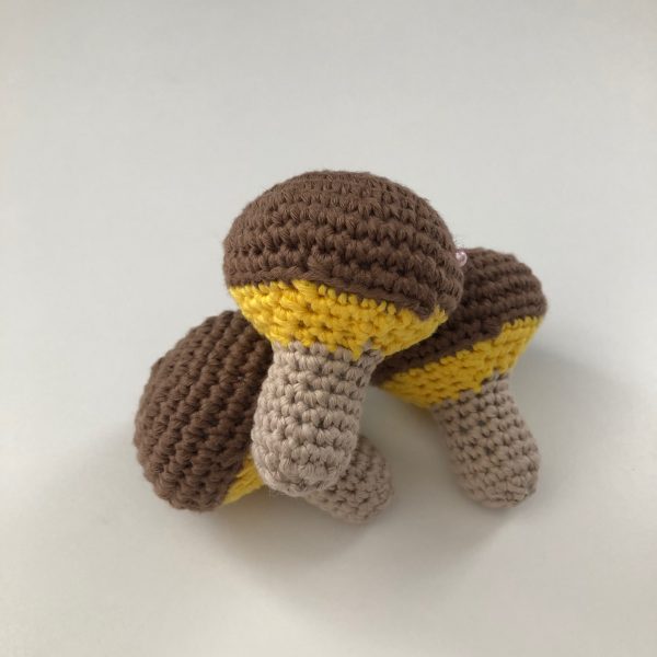 Pilz – Bild 2